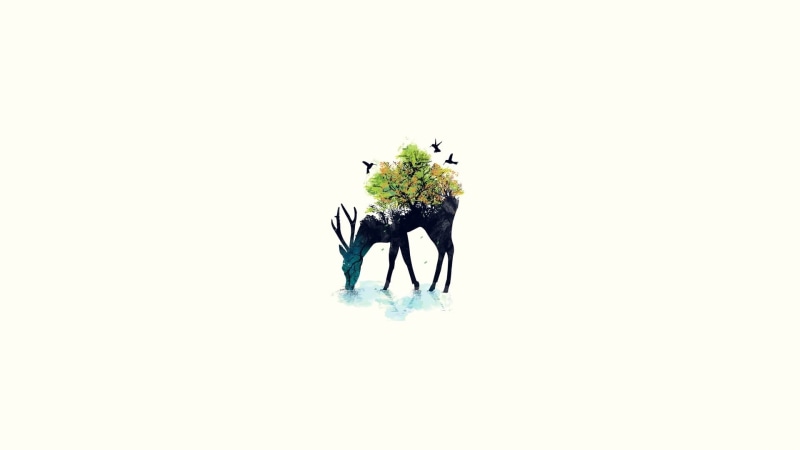 men, flower head, lifestyles, nature, freshness, standing, indoors, silhouette, digital composite, 1080P, growth, women, white background, copy space