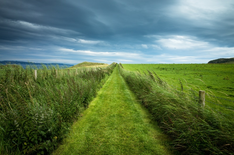 Ireland, grass, Europa, field, farm, digital, Sommer, land, Urlaub, landscape, Stein  stone, outdoors, Europe, summer, autofocus, UK, cloudscape, scenics
