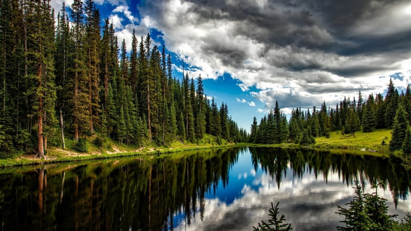 tree, mountain, cloud, spruce fir forest, water, nature, sky, fir forest, mount scenery, lake irene, 1080P, forest, united states, lake, reflection, national park