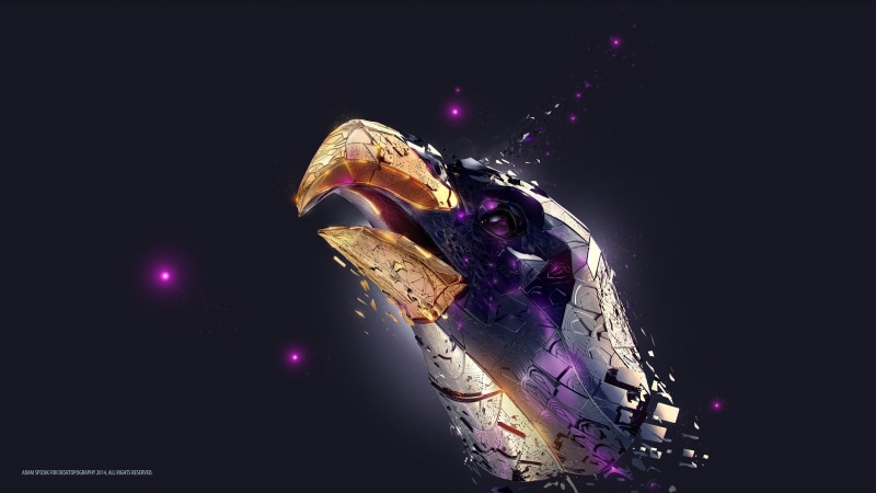 multi colored, nature, night, indoors, digital art, 2K, studio shot, event, bird, illuminated, artwork, purple, Jupiter, eagle, Desktopography, illustration