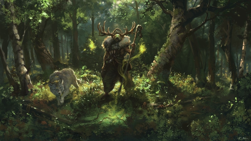druid, 1080P
