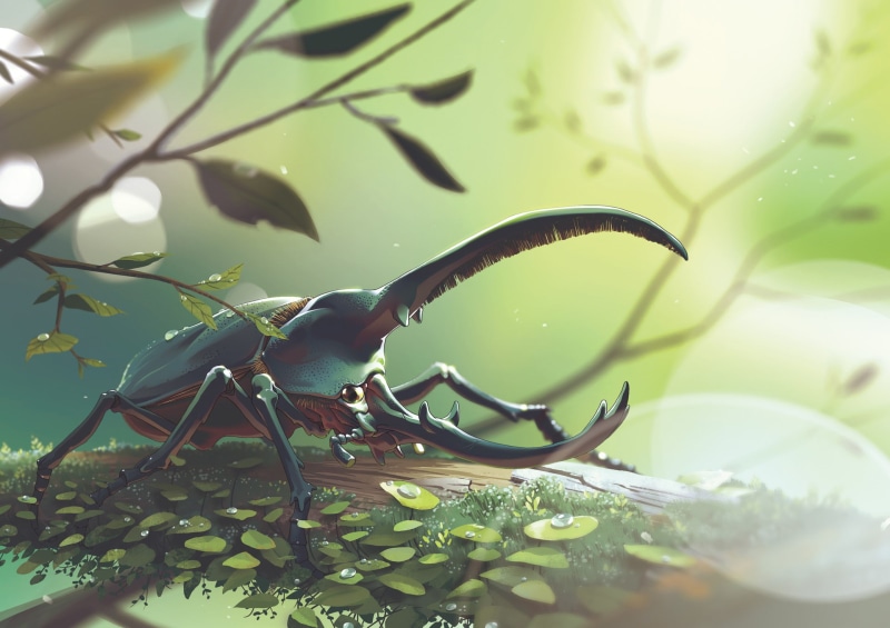 Lorenzo Lanfranconi, nature, insect, 1080P, Beetle, leaves, artwork, macro, painting