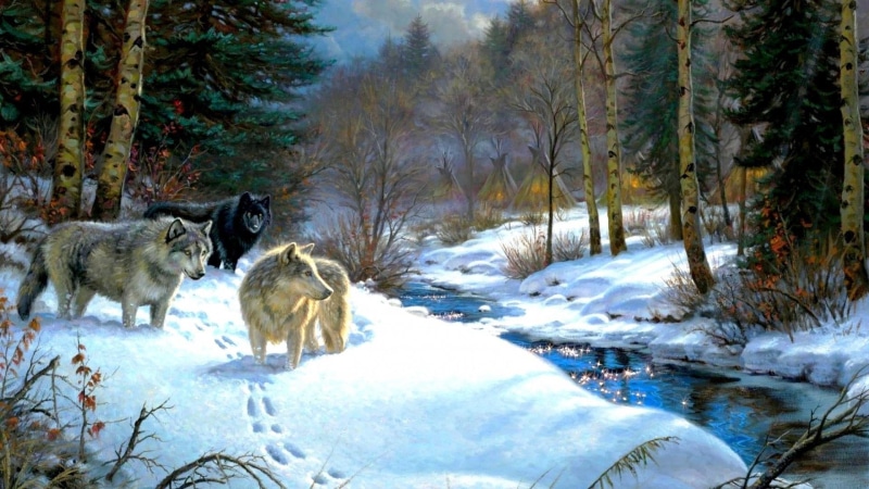 wilderness, snow, scenics - nature, covering, painting, vertebrate, animal, animal themes, ice, beauty in nature, wolf, mammal, day, nature, field, tundra
