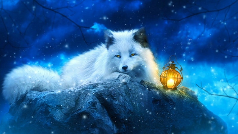 winter, fantasy, lantern, 1080P, fox, ice, wildlife, white fox, nature, freezing, snow