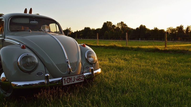 transportation, vintage, environment, Volkswagen, green color, Oldtimer, parked, car, 1080P, sky, vintage car, tree, day, retro styled, growth, Volkswagen Beetle