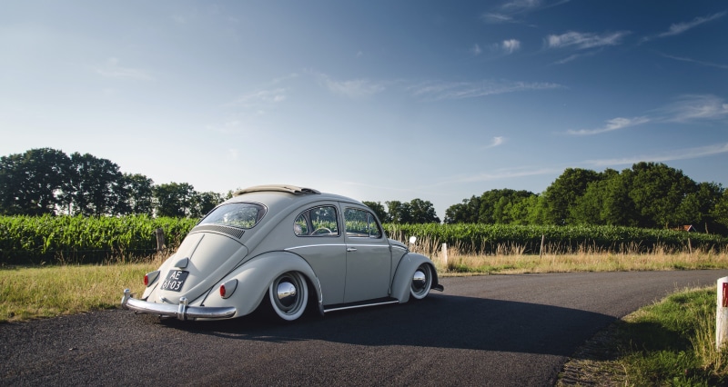 landscape, driving, transportation, freedom, plant, motor vehicle, road, tuning, car, Volkswagen Beetle, beetle, tree, nature, land vehicle, coupe, retro styled