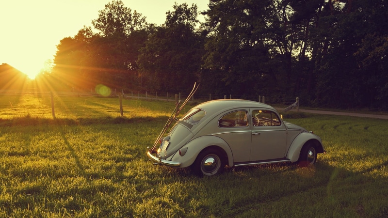 vintage, beauty in nature, beetle, no people, plant, nature, land, 1080P, lens flare, white, Volkswagen Beetle, sky, day, outdoors, tree, grass, car, skis