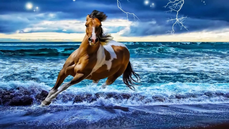 horse, 3d and abstract, lightning, sky, fantasy, 1080P, sea, stars