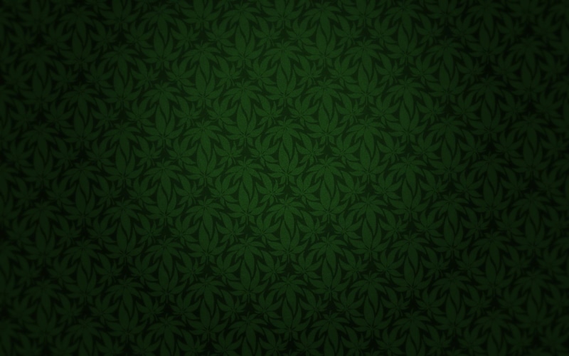 indoors, 1080P, leaf, minimalism, no people, cannabis, abstract, backgrounds, creativity, high angle view, green color, pattern, textured, drugs, nature