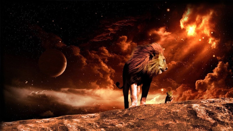 1080P, night sky, leisure activity, standing, men, sky, night, rear view, planet, real people, lion, lion cub, moon, photoshop art, burning, outdoors