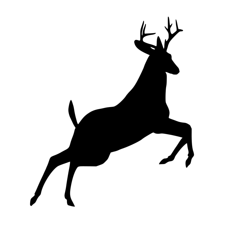 white background, buck, indoors, animal, wildlife, 1080P, mammal, herbivorous, design, stag, male, side view, animal representation, domestic animals