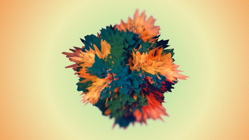 no people, orange background, render, orange color, indoors, flower, selective focus, flower head, studio shot, vulnerability, simple background, copy space