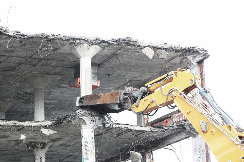 winter, low angle view, demolition, development, pull down, tree, heavy, city, cold temperature, nature, excavator, metal, concrete, Tearing, dismantle