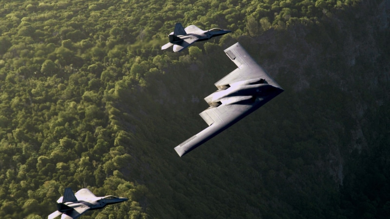 aerial view, aeroplane, animals in the wild, fighter, airport, airplane, bird, mid-air, pilot, flight, animal themes, air vehicle, propeller, missile, fly