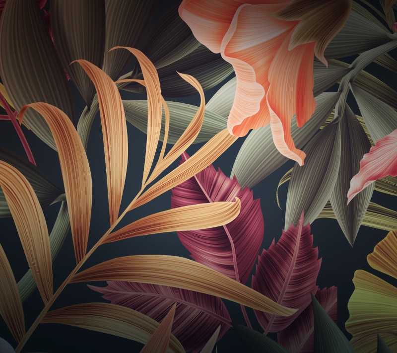 Leaves, 2K, Huawei Mate 10, Stock, Flowers