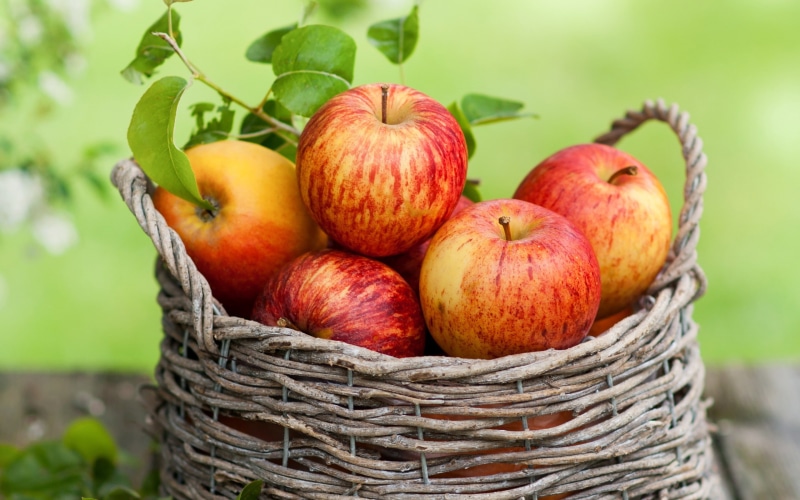 Basket, Red, fruits, 2K, Fruit, apple, Apples