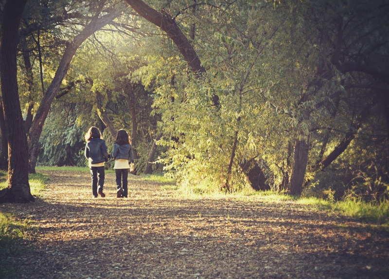 summer, innocence, friendship, people, adult, day, path, lifestyles, young, blue, growth, best friends, group, enchanting, childhood, american, sweet, the way forward