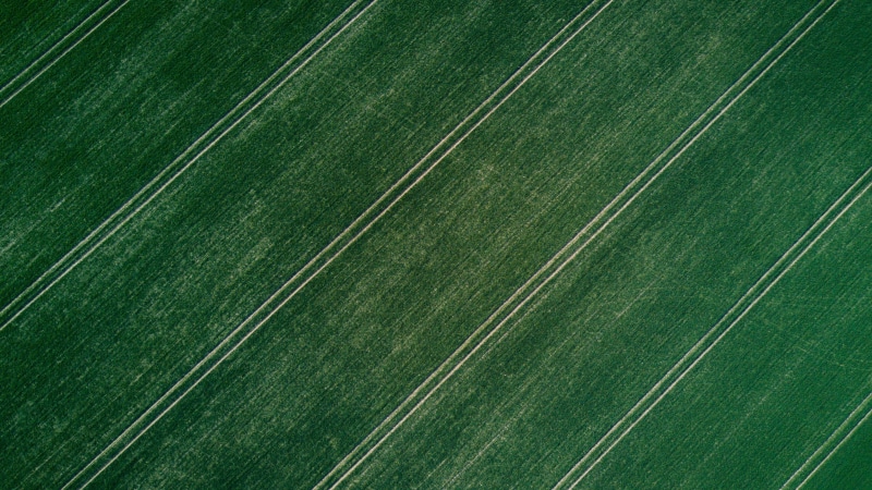 high angle view, full frame, plant, symmetry, striped, nature, land, photography, green color, agriculture, parallel, beauty in nature, pattern, 4K, field