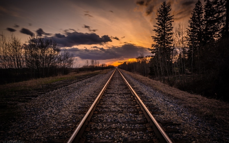 the way forward, beauty in nature, tranquility, parallel, tree, plant, sunset, vanishing point, no people, cloud - sky, 1080P, rail transportation, straight