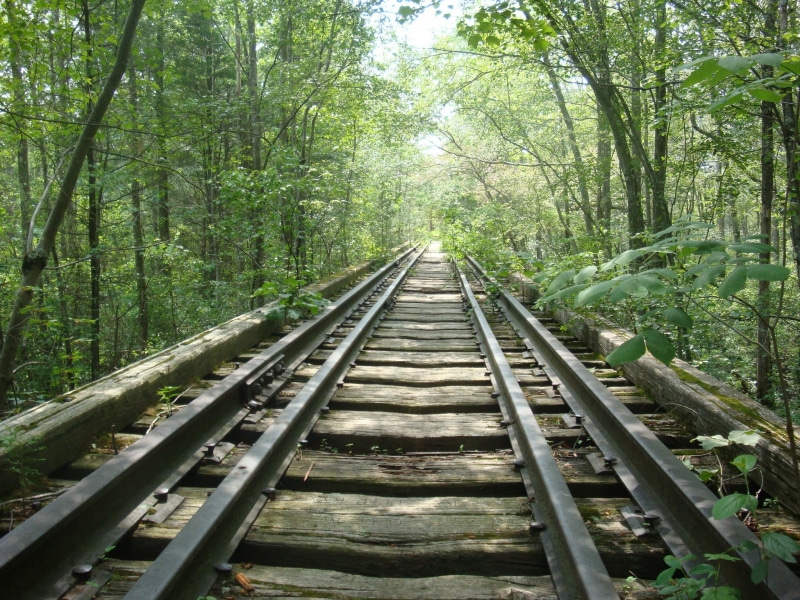 railroad track, the way forward, rail transportation, plant, transportation, tranquility, day, parallel, track, direction, non-urban scene, vanishing point
