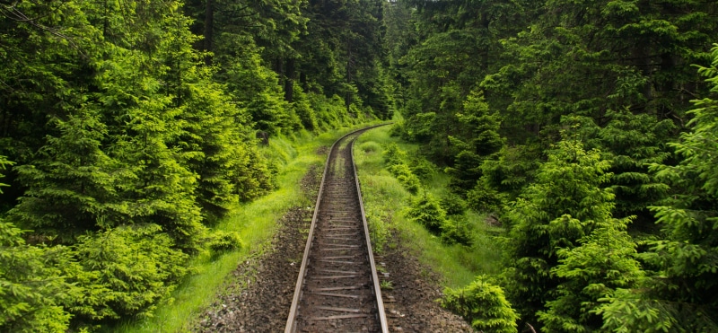 railroad, direction, tracks, growth, forest, plant, green color, summer, tranquility, germany, transportation, diminishing perspective, long, railroad track