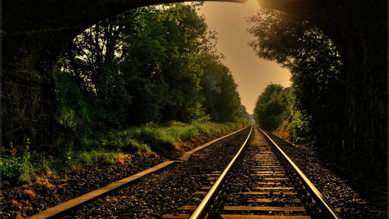 the way forward, tranquility, tree, trees, sky, transportation, plant, outdoors, gray, railroad, steel, day, growth, forest, long, diminishing perspective