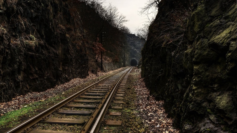 plant, 1080P, brown, growth, railway, beauty in nature, no people, day, track, vanishing point, fence, railroad track, wooden, parallel, diminishing perspective