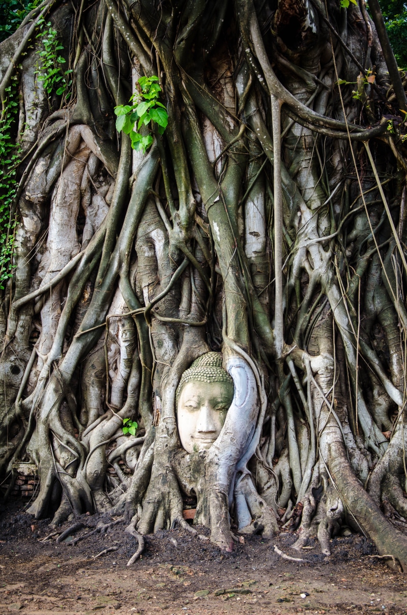 thailand, big, creativity, design, holy, ancient, worship, asian, ancient civilization, zen, day, heritage, temple, traditional, hand, representation, statue
