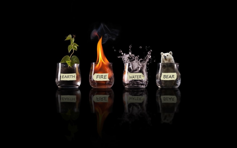 reflection, air, studio shot, business, finance, copy space, fire, black, no people, glass - material, in a row, close-up, food, nature, four elements
