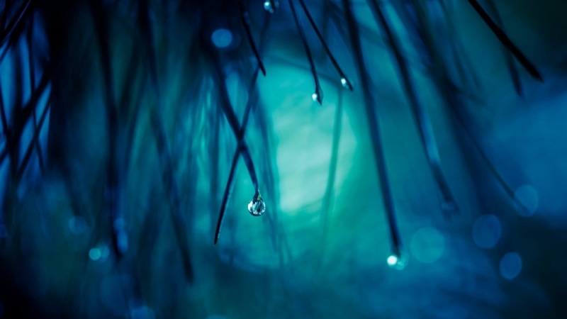water, backgrounds, rain, 1080P, blue background, day, focus on foreground, macro, dew, wet, raindrop, light - Natural Phenomenon, outdoors, photography