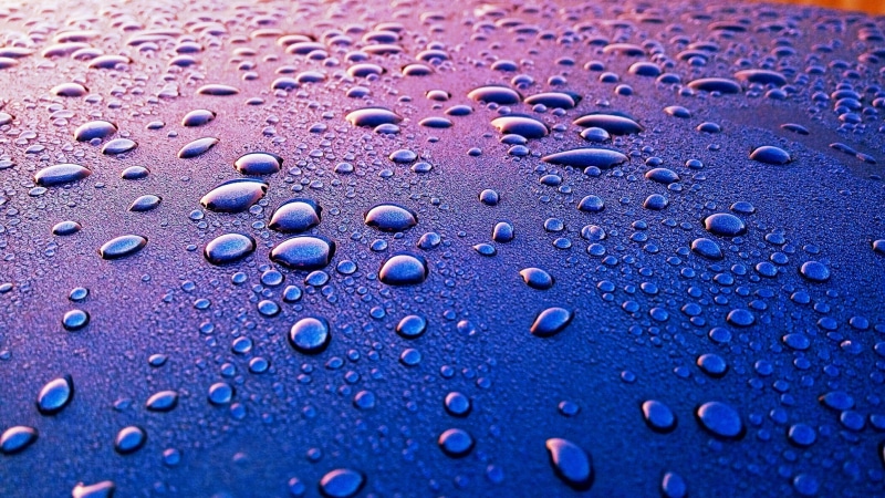 indoors, condensation, no people, dew, water, day, close-up, watercolor, rug, raindrop, nature, water drops, wet, freshness, 2K, floral, drop, backgrounds