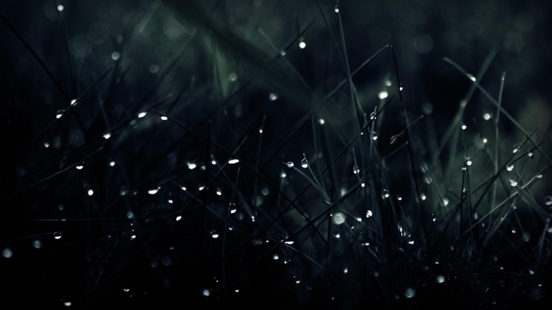 rain, blade of grass, nightlife, no people, raindrop, grass, vulnerability, close-up, outdoors, selective focus, growth, water, waterdrop, water drops