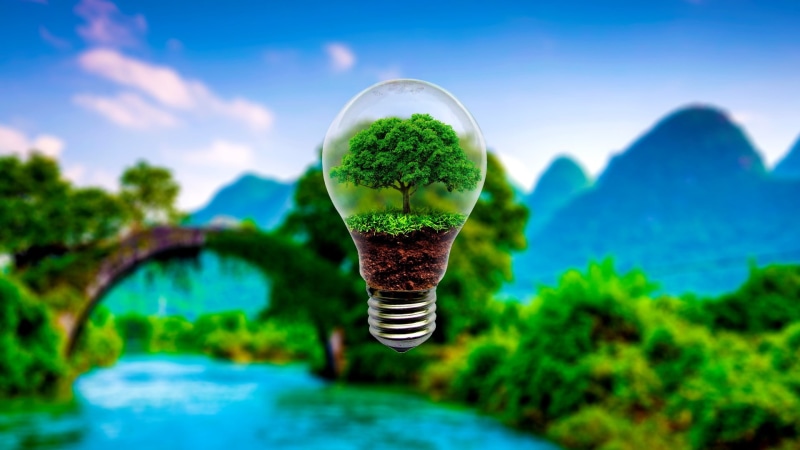 yulong bridge scenic area, green energy, yulong bridge, yangshuo park, tree, lightbulb, green, energy, nature, 1080P, light bulb, yangshuo
