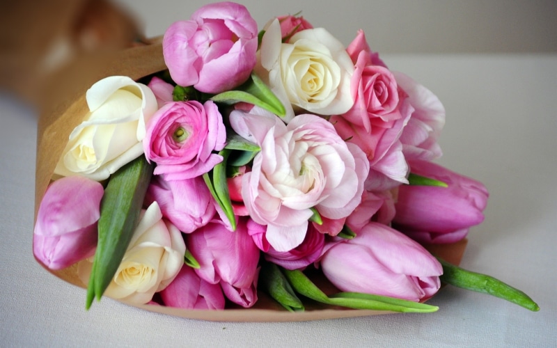 White, Tulips, Rose, 1080P, Pink, Flowers