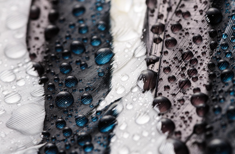 art and craft, raindrop, textured Effect, nature, still life, water drops, indoors, black, rain, white, close-up, craft, messy, textile, freshness, large group of objects
