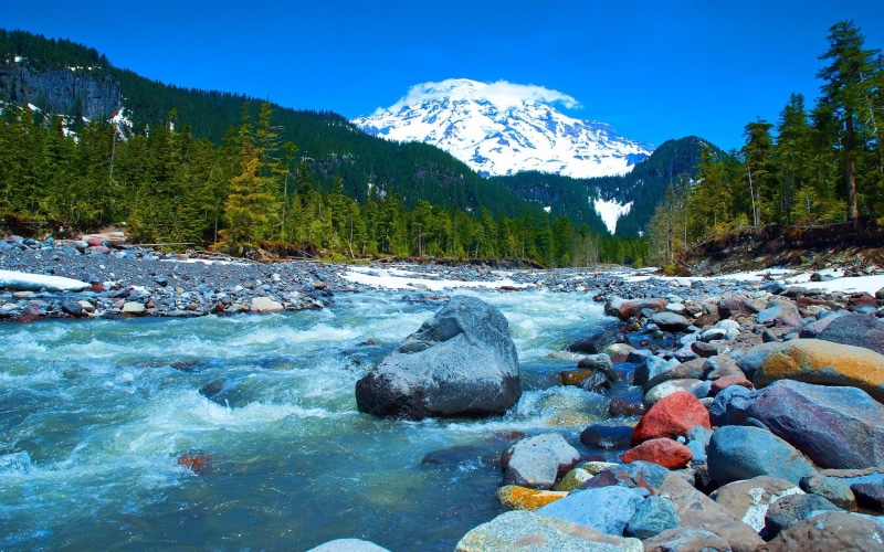 rock - object, mount rainier national park, Washington state, mountains, snowcapped mountain, rock, flowing, stones, river, 720P, sky, day, forest, landscape