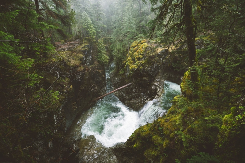 photography, flowing, Vancouver Island, waterfall, time, shrubs, no people, forest, motion, water, day, waterfalls, lapse, Canada, plant, 1080P, wilderness