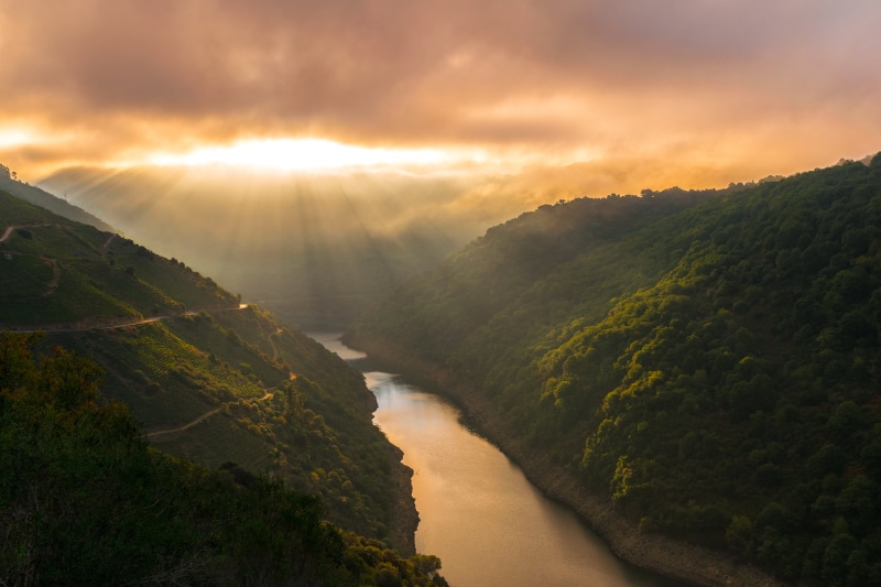 scenics, landscape, green forest, montaña, Lugo, alba, outdoors, nature, Europa, España, el Río, sunset, forest, flowing, amanecer, ngc, clouds, europe