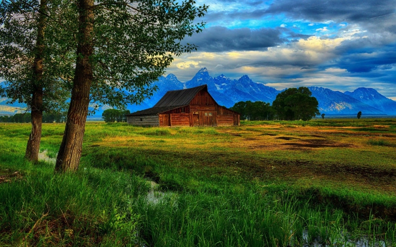 1080P, desktop full screen  nature pictures 1920x1200