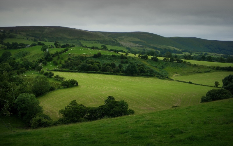 full screen nature  desktop hdmi 1920x1200, 1080P