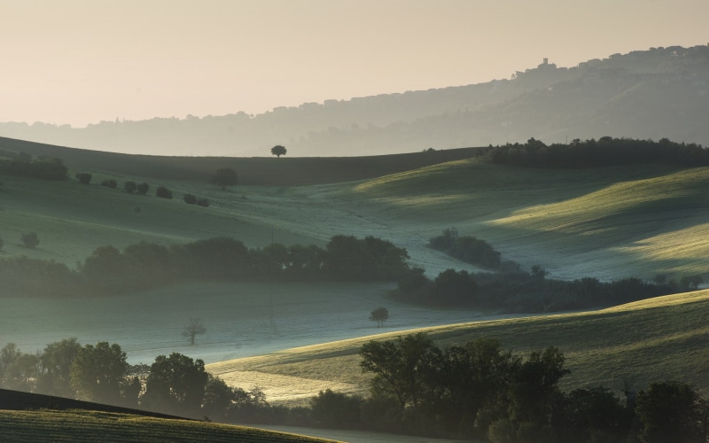 1080P, computer desktop  full screen nature pics 1920x1200