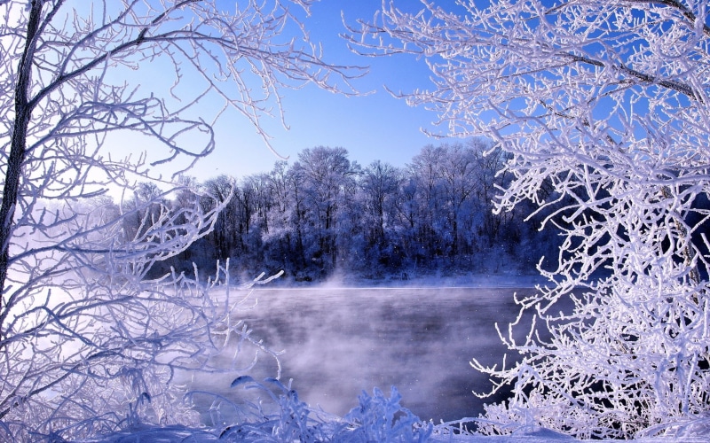 sky, tranquility, branch, no people, 1080P, winter, tree, frozen, outdoors, scenics - nature, ice, nature, computer desktop  full screen nature pics 1920x1200