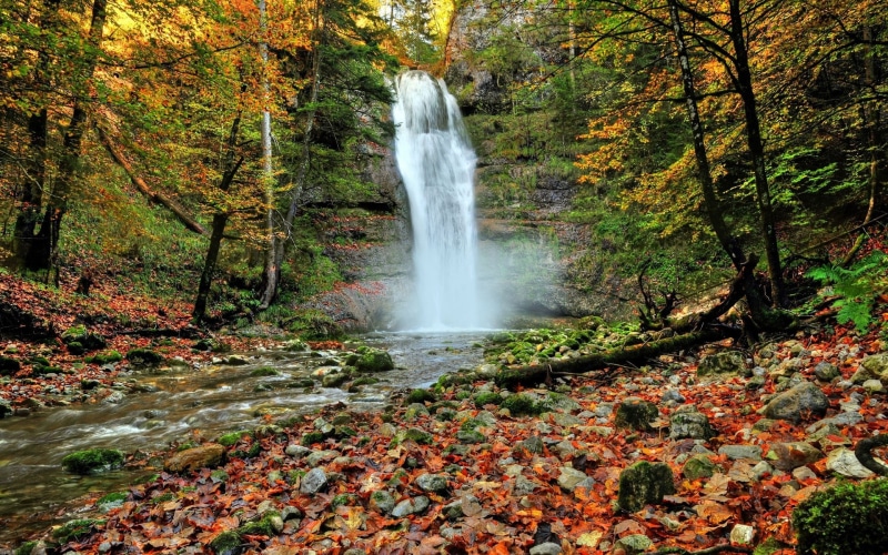 1080P, computer desktop  full screen nature pics 1920x1200