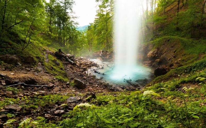 1080P, computer desktop  full screen nature pics 1920x1200