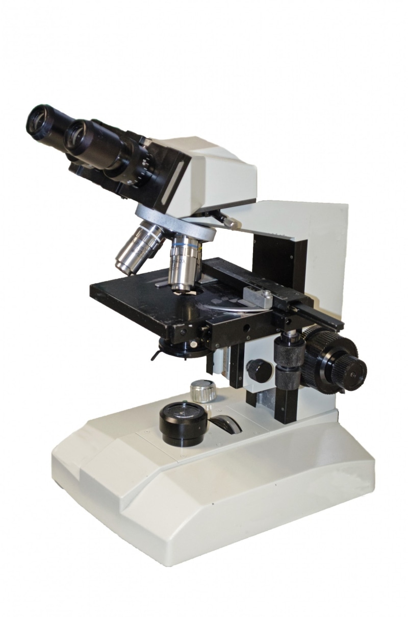 research, close-up, microbiology, microscopy, isolated, scientific Experiment, microscope, arts culture and entertainment, education, still life, studio shot
