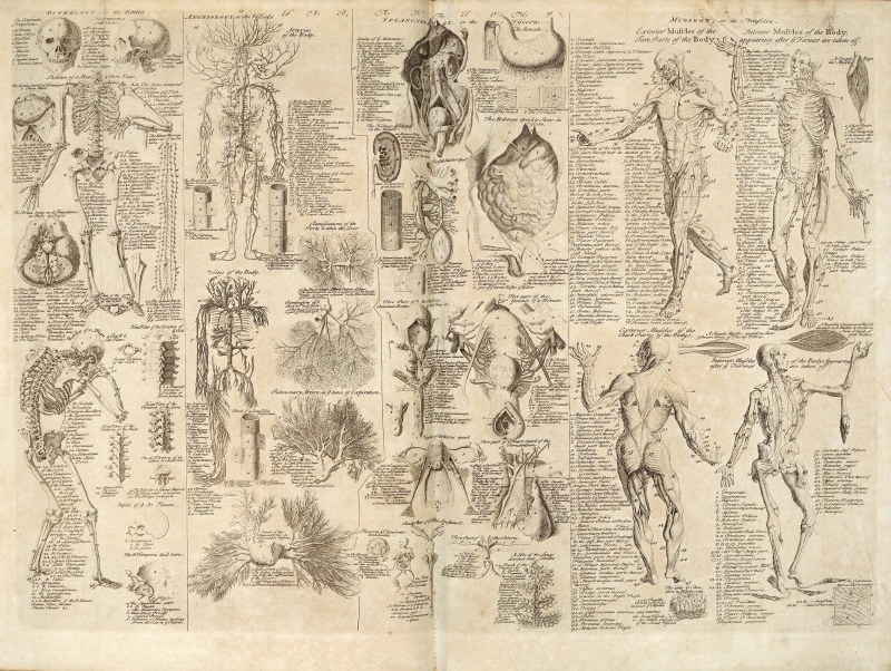 ancient, science, body, the past, paper currency, studio shot, human, finance, architecture, page, dollar sign, backgrounds, history, no people, paper