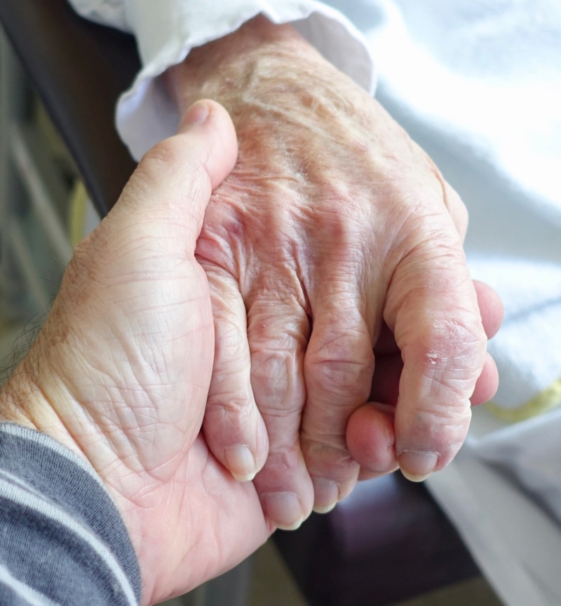 vulnerable, old, high angle view, body part, elderly, senior adult, human, adult, human hand, 2K, aged, people, two people, togetherness, wrinkled, close-up
