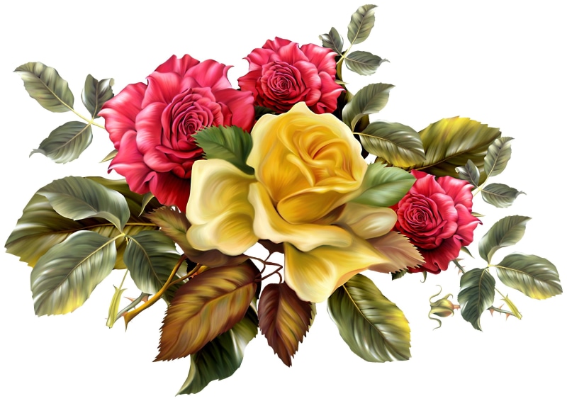 multi colored, freshness, gift, flowers, summer, leaf, pink Color, vector, white Background, white, spikes, bunch of flowers, backgrounds, background, beauty In Nature