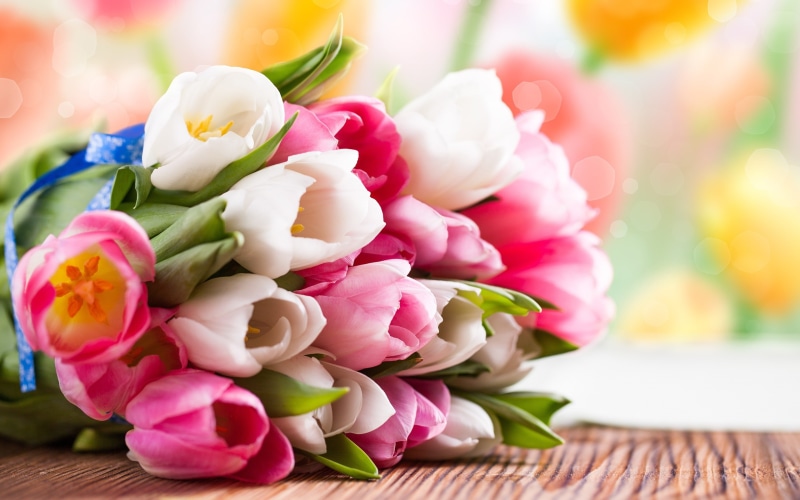 Bouquet, Pink, 2K, tulips, White, Flower, red, Tulip