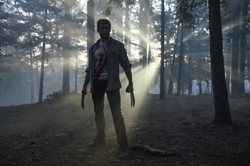 1080P, young adult, warm clothing, outdoors, one person, tree trunk, Hugh Jackman, Logan (Movie), Movie, forest, Logan, tree, leisure activity, casual clothing